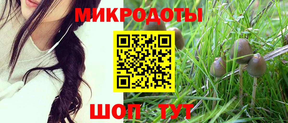 Псилоцибиновые грибы Cubensis  Вход с VPN  Новосибирск  Псилоцибиновые грибы ЛСД 