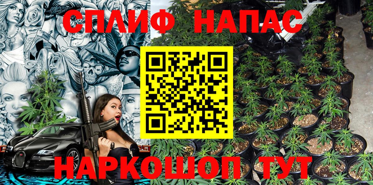 Канабис MAZAR Новосибирск